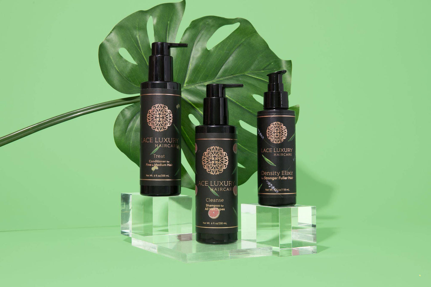 Complete Volumizing Routine