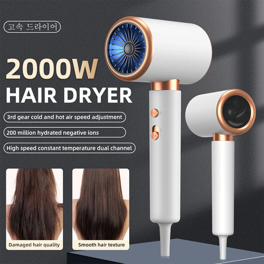Ionic Hair Dryer High Speed Motor Blow Drier 2000W Hairdryer Negative
